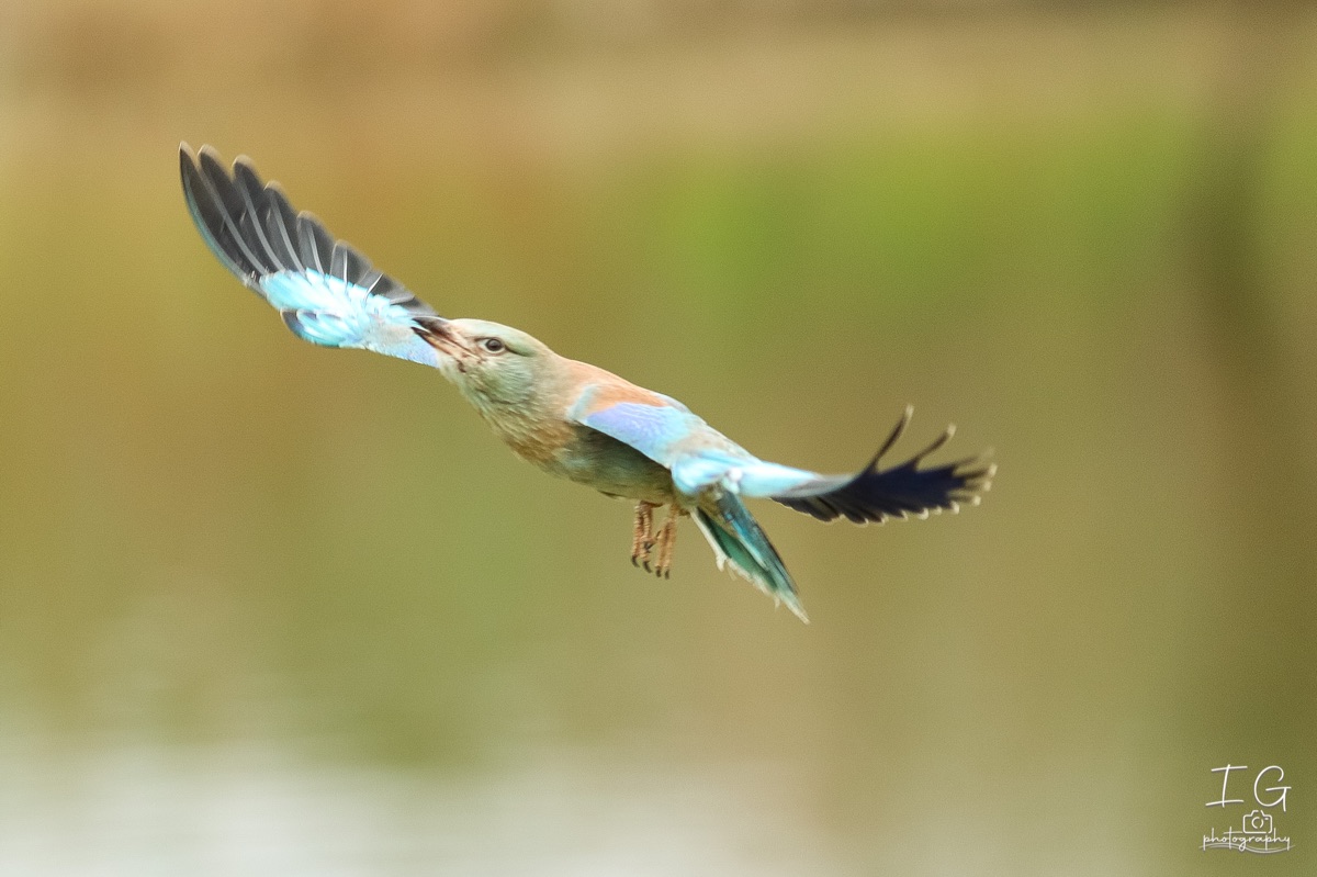 20211023 AK6I0057 insta